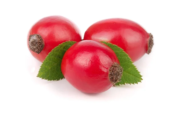 Rose hip berry met bladeren geïsoleerd op een witte achtergrond macro — Stockfoto