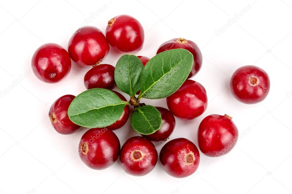 Cranberry with leaf isolated on white background closeup top view