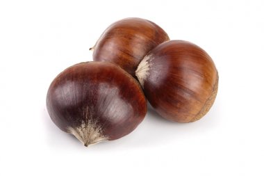 Beyaz arka plan üzerinde izole taze yenilebilir kestane