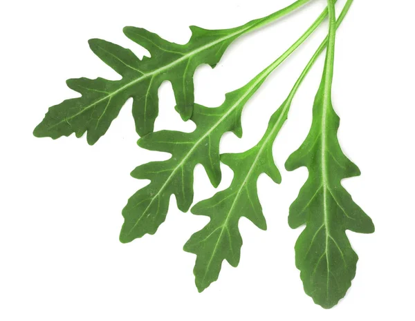 Zöld friss rucola, vagy a sült saláta kitûnõ levél elszigetelt fehér background. Szemközti nézet — Stock Fotó