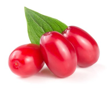 Beyaz arka plan üzerinde izole yaprak ile kızılcık berry