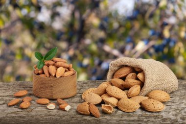 Bademli Bahçe arka plan bulanık bir tahta masada Sivas'tan çantasından yaprak