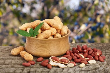 yaprak kase eski bir bulanık Bahçe arka plan ile ahşap tabloda fıstık