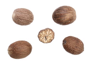 Beyaz arka plan üzerinde izole küçük hindistan cevizi. Üstten Görünüm