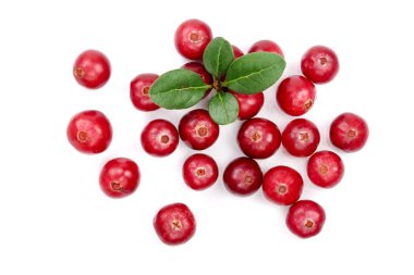 Cranberry with leaf isolated on white background closeup top view clipart