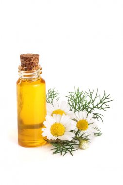 Beyaz arka planda özgün yağ ve taze papatya çiçekleri bulunan şişe.