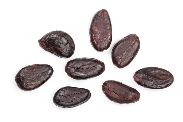 Cocoa bean isolated on white background close-up top view — Stock Photo, Image
