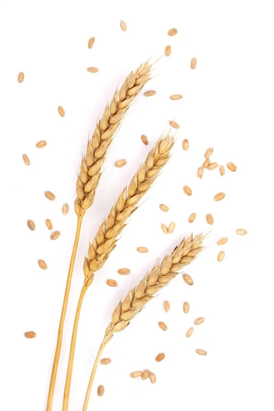 Tahıl ve beyaz arka plan üzerinde izole buğday kulaklar. Üstten Görünüm — Stok fotoğraf
