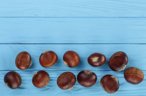 Kastanje op blauwe houten achtergrond met kopie ruimte voor uw tekst. Bovenaanzicht. Plat leggen — Stockfoto