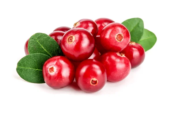 Cranberry with leaf isolated on white background closeup macro — Stock Photo, Image