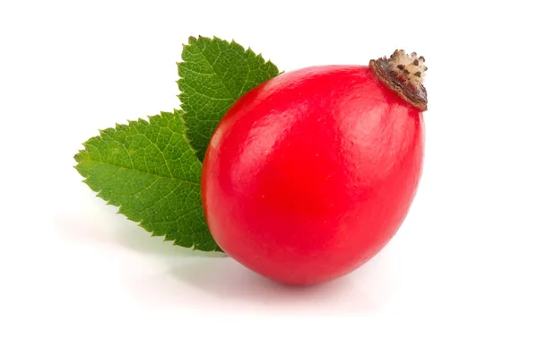 Rose hip berry met bladeren geïsoleerd op een witte achtergrond macro — Stockfoto