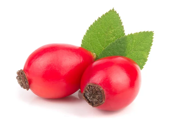 Rose hip berry met bladeren geïsoleerd op een witte achtergrond macro — Stockfoto