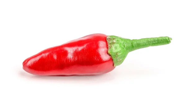 Piros chili paprika izolált fehér alapon — Stock Fotó