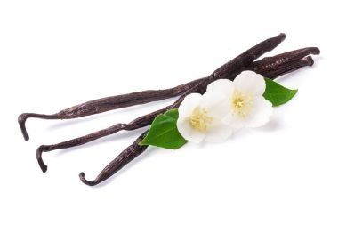 Çiçek ve yaprak beyaz arka plan üzerinde izole ile vanilya çubukları