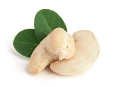 Beyaz arka plan üzerinde izole yaprak ile kaşu fındık. Makro