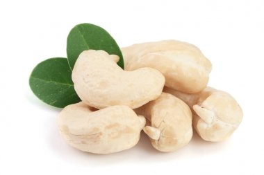 Beyaz arka plan üzerinde izole yaprak ile kaşu fındık. Makro