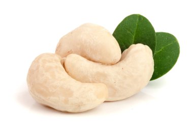 Beyaz arka plan üzerinde izole yaprak ile kaşu fındık. Makro