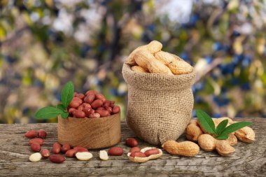 Fıstık çanta üzerinde eski bir bulanık Bahçe arka plan ile ahşap masa üzerinde yaprak ile