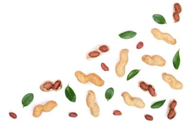 Fıstık kabukları kopya alanı metni, üstten görünüm beyaz zemin üzerine izole ile. Düz yatıyordu desen