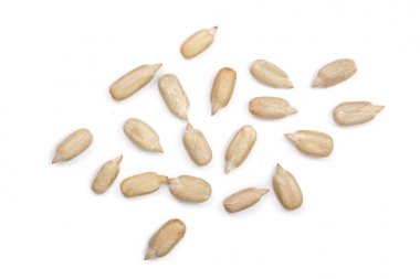 Soyulmuş ayçiçeği tohumları beyaz arka planda izole edilmiş. Üst görünüm