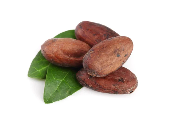 Haba de cacao sin pelar con hoja aislada sobre fondo blanco — Foto de Stock