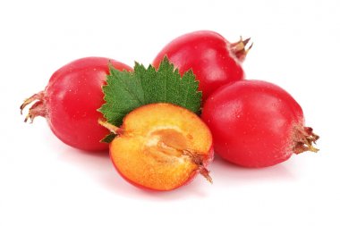 Hawthorn berry izole beyaz arka plan yakın çekim yaprak ile