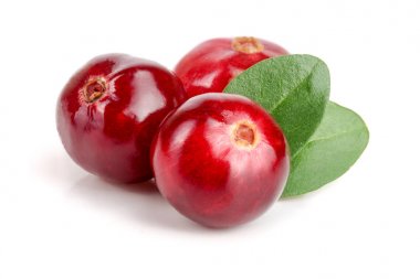 Beyaz arka plan closeup makro'izole yaprak ile kızılcık