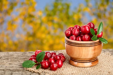 Yaban mersini yaprağı üzerinde bulanık Bahçe arka plan ile eski ahşap masa ahşap kase