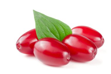 Beyaz arka plan üzerinde izole yaprak ile kızılcık berry