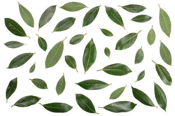 laurel isolated on white background. Fresh bay leaves. Top view. Flat lay pattern