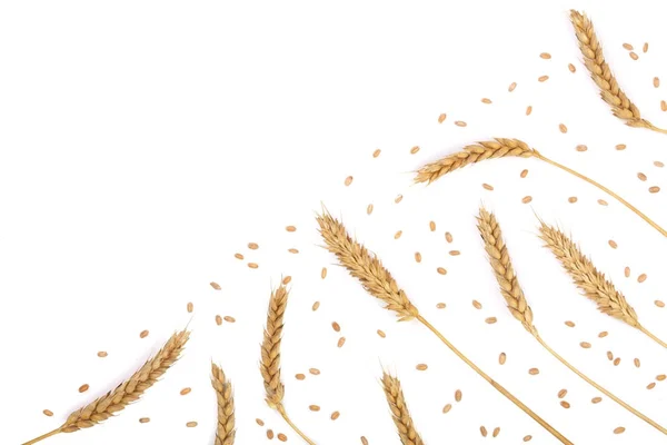 Grain and ears of wheat isolated on white background with copy space for your text. Top view. Flat lay pattern — Stock Photo, Image