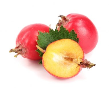 Hawthorn berry izole beyaz arka plan yakın çekim yaprak ile