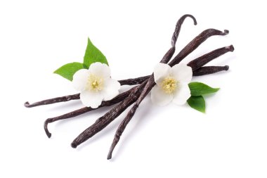 Çiçek ve yaprak beyaz arka plan üzerinde izole ile vanilya çubukları