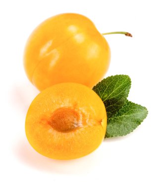 Beyaz arkaplanda yaprakları olan sarı erik