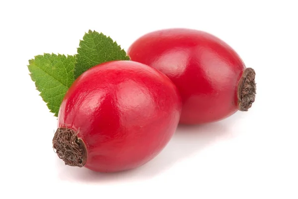 Rose hip berry met bladeren geïsoleerd op een witte achtergrond macro — Stockfoto