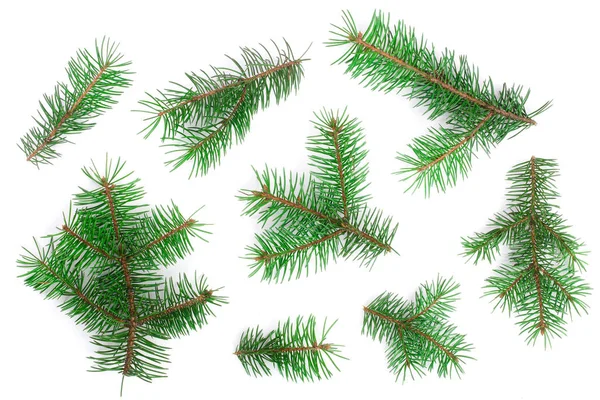 もみ木の枝が白い背景に分離されました。クリスマスの背景。トップ ビュー — ストック写真