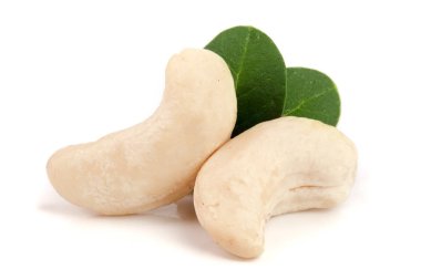 Beyaz arka plan üzerinde izole yaprak ile kaşu fındık. Makro