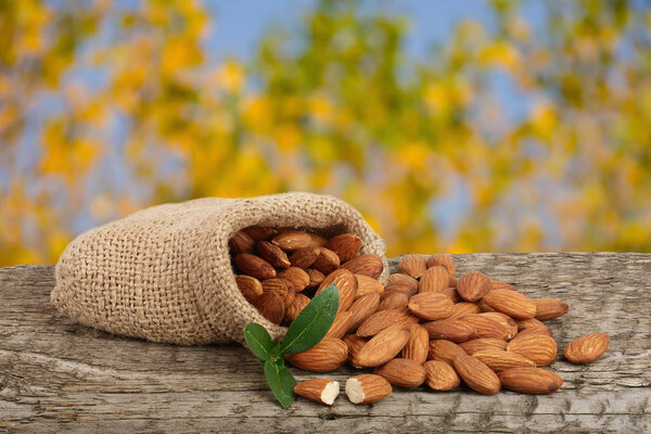 Almonds with leaf in bag from sacking on a wooden table with blurred garden background