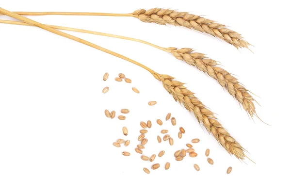 Зерно і вуха пшениці ізольовані на білому тлі. Вид зверху — стокове фото