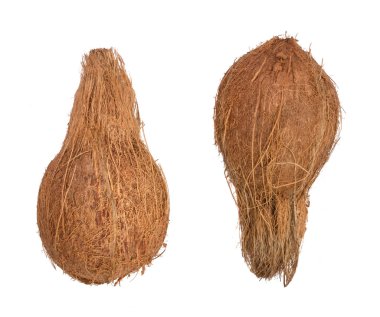 Beyaz arka plan üzerinde izole iki bütün Hindistan cevizi. Düz yatıyordu. Üstten Görünüm