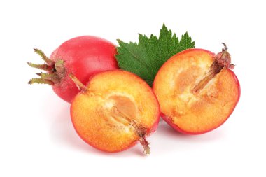 Hawthorn berry izole beyaz arka plan yakın çekim yaprak ile