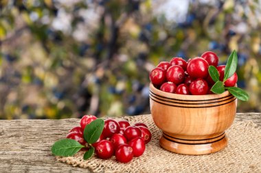 Yaban mersini yaprağı üzerinde bulanık Bahçe arka plan ile eski ahşap masa ahşap kase