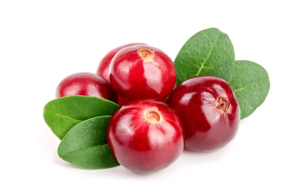 Cranberry met blad geïsoleerd op een witte achtergrond close-up macro — Stockfoto