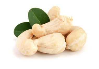 Beyaz arka plan üzerinde izole yaprak ile kaşu fındık. Makro