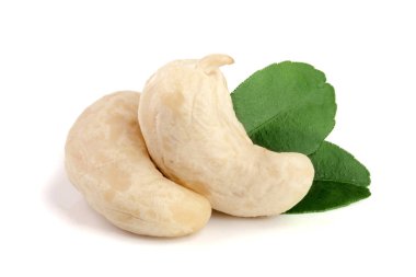 Beyaz arka plan üzerinde izole yaprak ile kaşu fındık. Makro