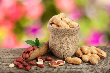 Fıstık yaprak çanta bulanık bir bahçe arka plan eski ahşap tablo