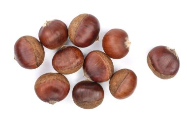 chestnut isolated on white background. Top view. Flat lay clipart