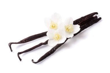 Beyaz arka plan üzerinde izole çiçek ile vanilya çubukları