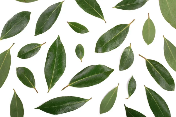 로렐 흰색 배경에 고립입니다. 신선한 베이 잎. 최고의 볼 수 있습니다. 평면 위치 패턴 — 스톡 사진