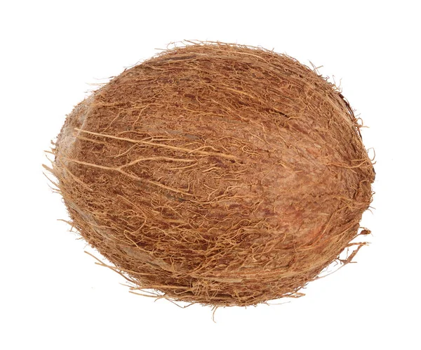 Celý kokos izolovaných na bílém pozadí. Byt leží. Pohled shora — Stock fotografie